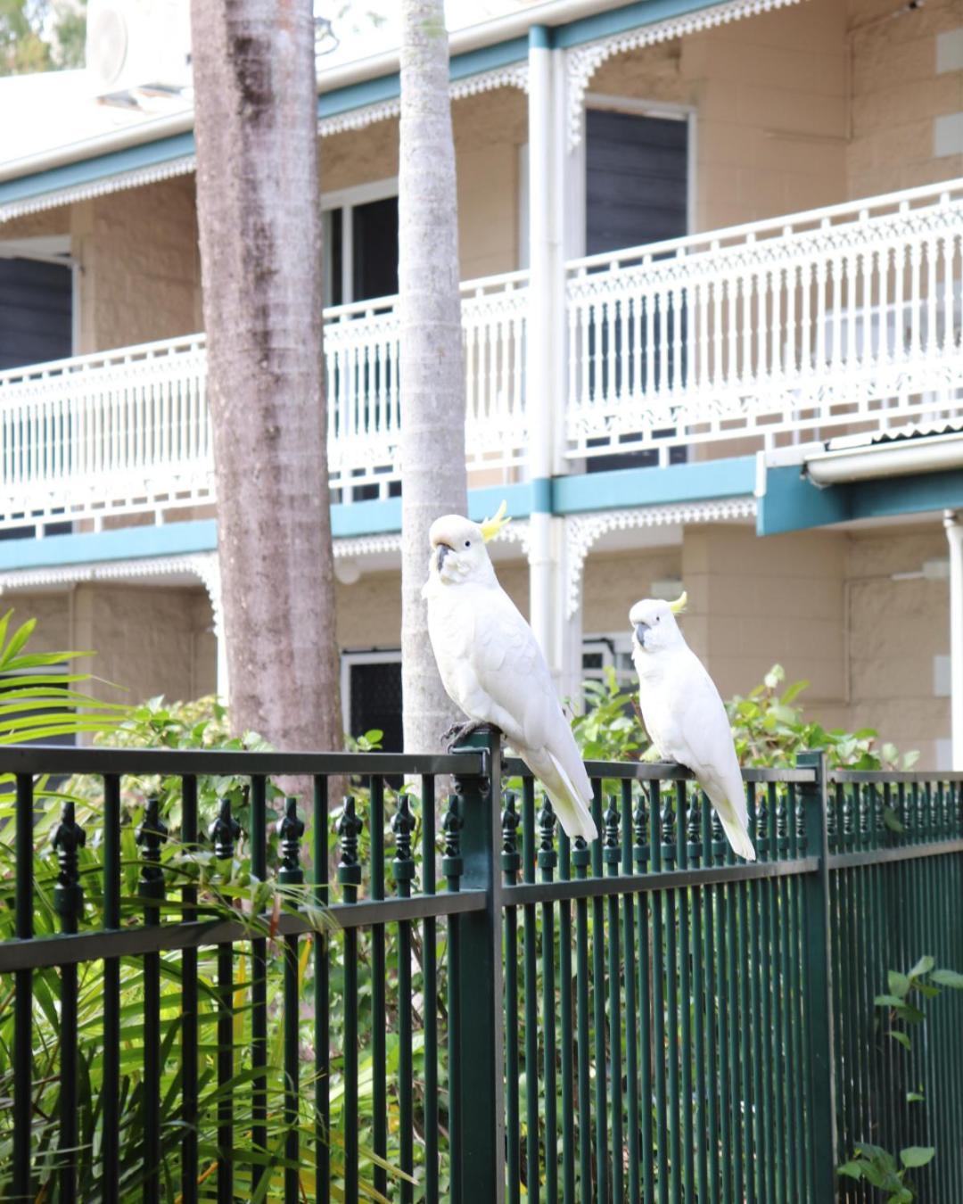 Colonial Palms Motor Inn Airlie Beach Exterior photo